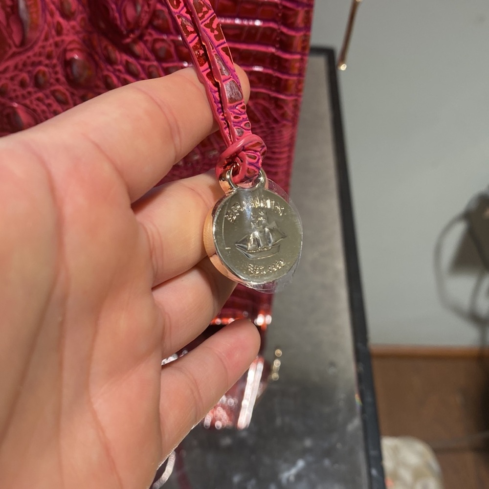 Brahmin - Picture 4 of 15